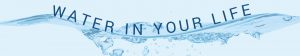 banner-insights